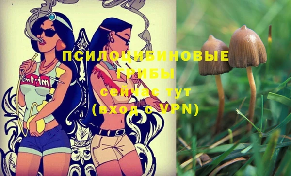COCAINE Балахна