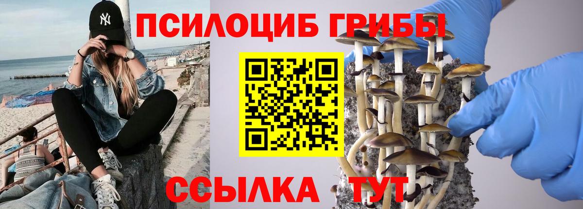 Сегежа  Псилоцибиновые грибы Psilocybe  Вход с VPN  сколько стоит  Псилоцибиновые грибы MAGIC MUSHROOMS 
